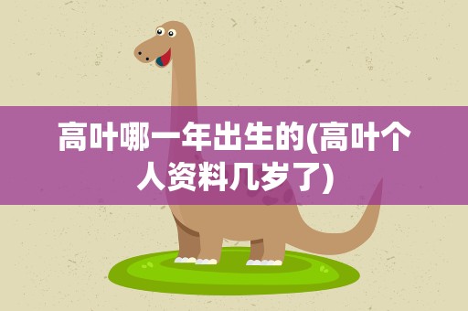 高叶哪一年出生的(高叶个人资料几岁了)