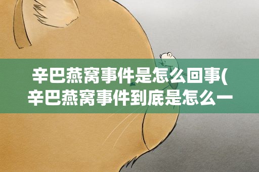 辛巴燕窝事件是怎么回事(辛巴燕窝事件到底是怎么一回事)