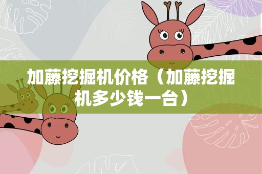 加藤挖掘机价格（加藤挖掘机多少钱一台）