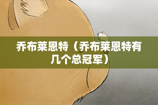 乔布莱恩特（乔布莱恩特有几个总冠军）