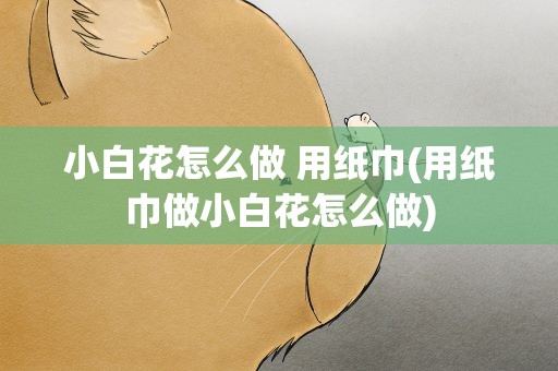 小白花怎么做 用纸巾(用纸巾做小白花怎么做)