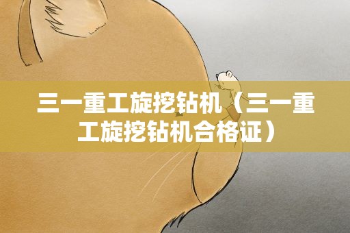 三一重工旋挖钻机（三一重工旋挖钻机合格证）