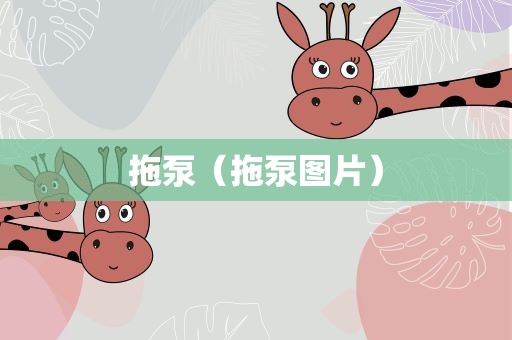 拖泵（拖泵图片）