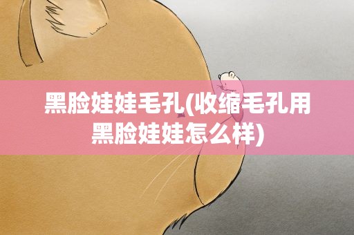 黑脸娃娃毛孔(收缩毛孔用黑脸娃娃怎么样)
