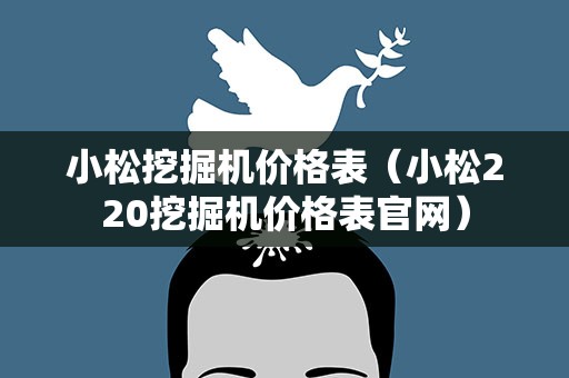 小松挖掘机价格表（小松220挖掘机价格表官网）