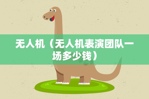 无人机（无人机表演团队一场多少钱）