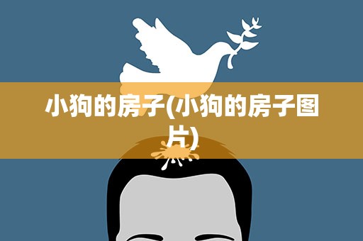 小狗的房子(小狗的房子图片)