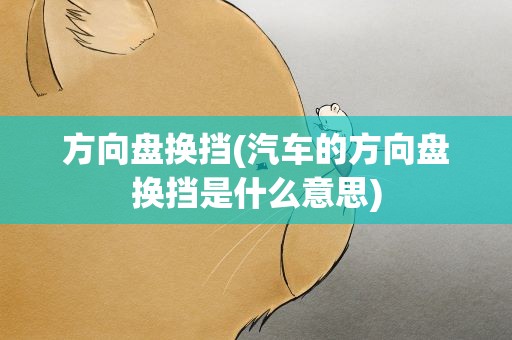 方向盘换挡(汽车的方向盘换挡是什么意思)