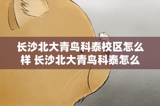 长沙北大青鸟科泰校区怎么样 长沙北大青鸟科泰怎么样