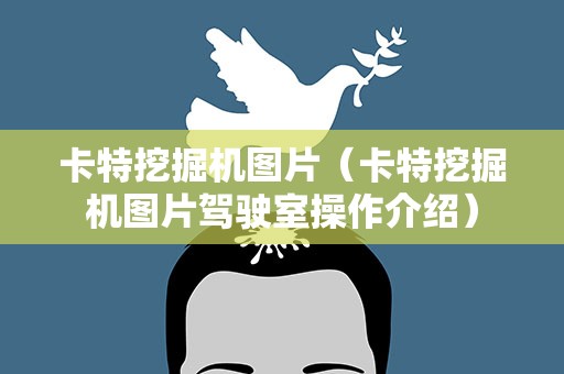 卡特挖掘机图片（卡特挖掘机图片驾驶室操作介绍）