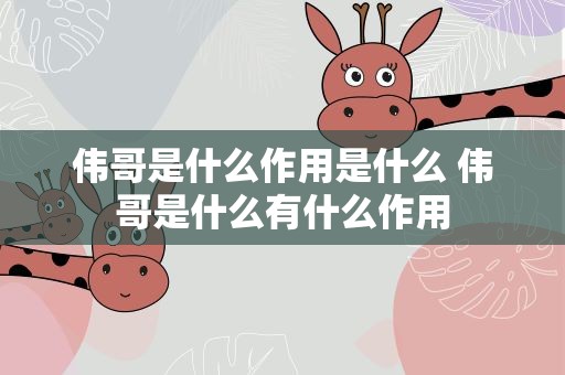 伟哥是什么作用是什么 伟哥是什么有什么作用