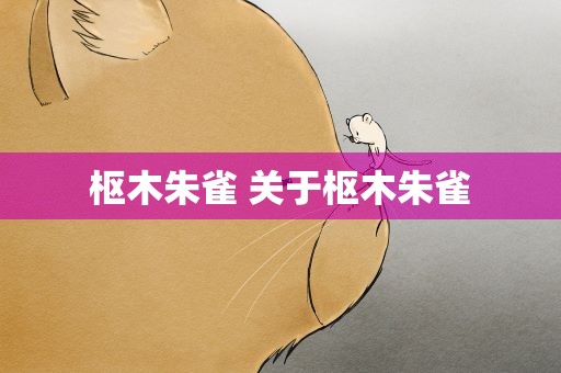 枢木朱雀 关于枢木朱雀