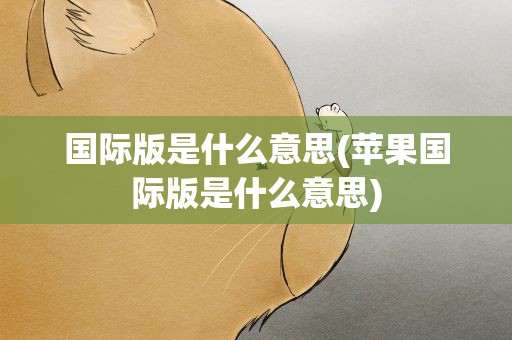 国际版是什么意思(苹果国际版是什么意思)