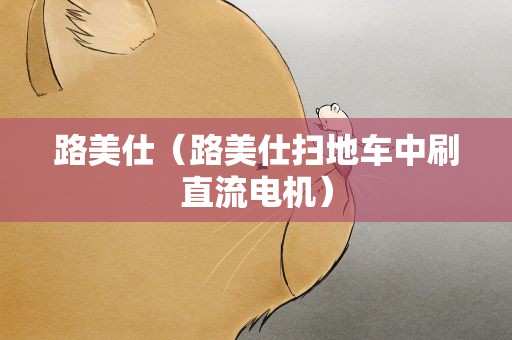 路美仕（路美仕扫地车中刷直流电机）