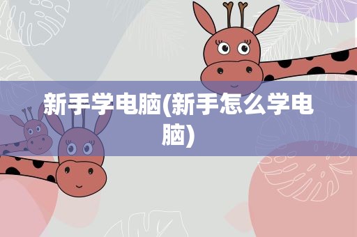 新手学电脑(新手怎么学电脑)