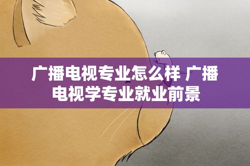 广播电视专业怎么样 广播电视学专业就业前景