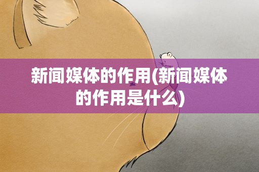 新闻媒体的作用(新闻媒体的作用是什么)