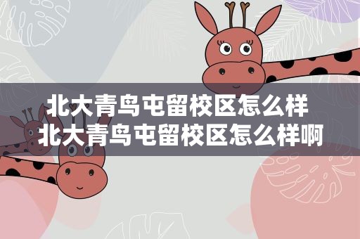 北大青鸟屯留校区怎么样 北大青鸟屯留校区怎么样啊
