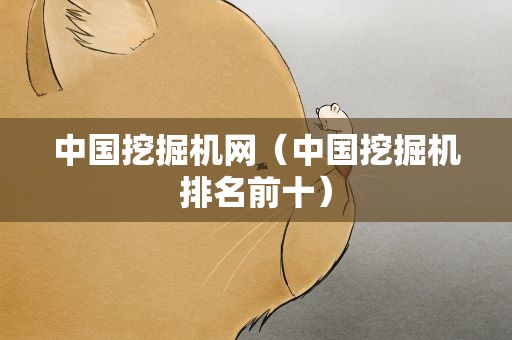 中国挖掘机网（中国挖掘机排名前十）
