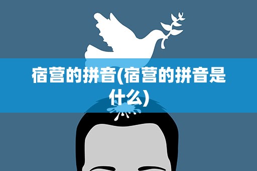 宿营的拼音(宿营的拼音是什么)