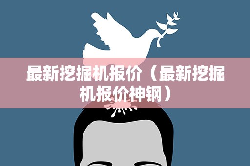 最新挖掘机报价（最新挖掘机报价神钢）
