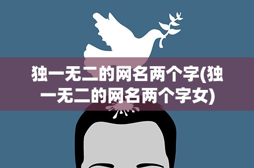 独一无二的网名两个字(独一无二的网名两个字女)