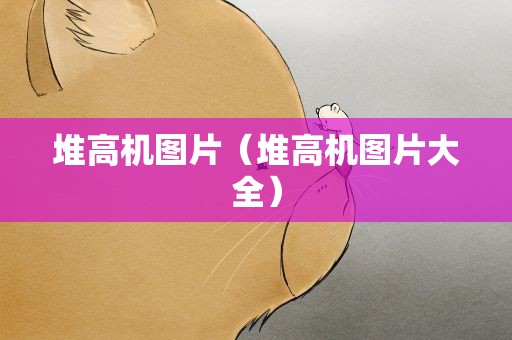 堆高机图片（堆高机图片大全）