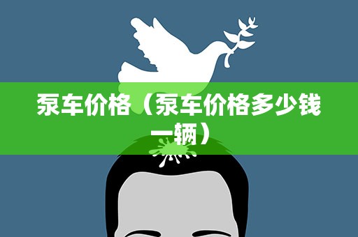 泵车价格（泵车价格多少钱一辆）