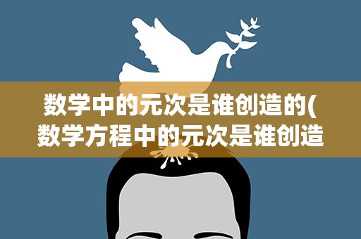 数学中的元次是谁创造的(数学方程中的元次是谁创造的)