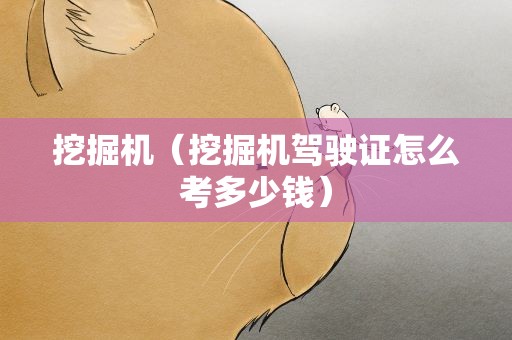 挖掘机（挖掘机驾驶证怎么考多少钱）