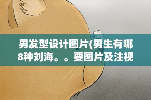 男发型设计图片(男生有哪8种刘海。。要图片及注视)