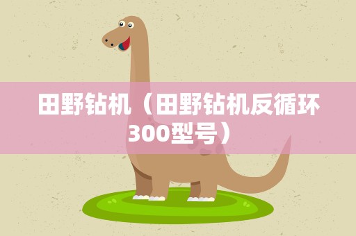 田野钻机（田野钻机反循环300型号）