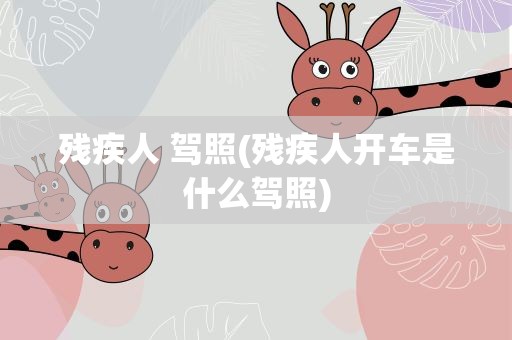残疾人 驾照(残疾人开车是什么驾照)