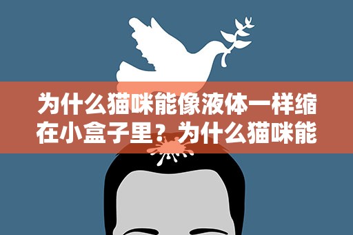 为什么猫咪能像液体一样缩在小盒子里？为什么猫咪能像液体一样缩在小盒子里面