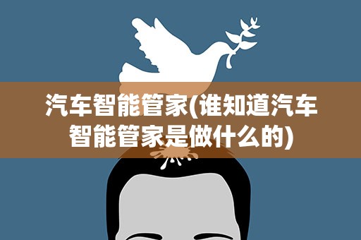 汽车智能管家(谁知道汽车智能管家是做什么的)