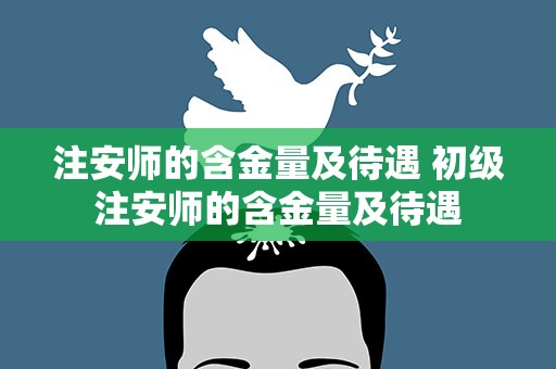 注安师的含金量及待遇 初级注安师的含金量及待遇
