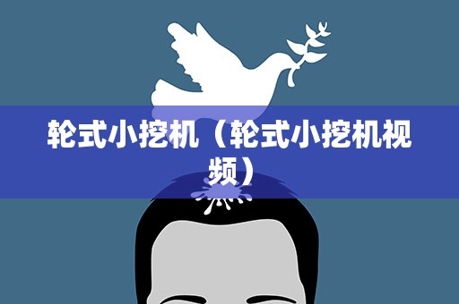 轮式小挖机（轮式小挖机视频）