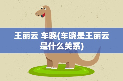 王丽云 车晓(车晓是王丽云是什么关系)