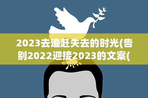 2023去追赶失去的时光(告别2022迎接2023的文案(热门66句))
