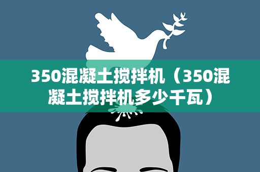 350混凝土搅拌机（350混凝土搅拌机多少千瓦）