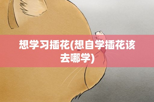 想学习插花(想自学插花该去哪学)