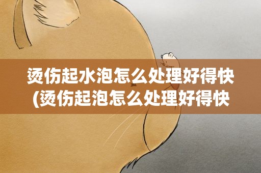 烫伤起水泡怎么处理好得快(烫伤起泡怎么处理好得快)