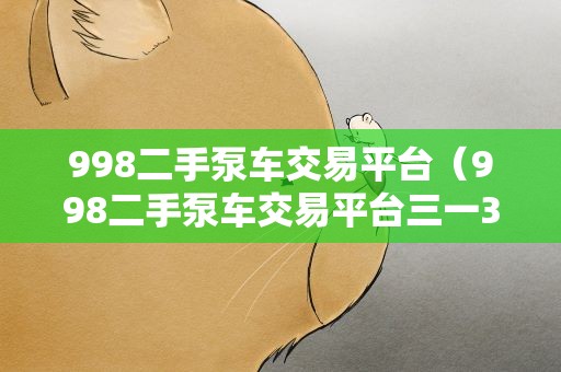 998二手泵车交易平台（998二手泵车交易平台三一38米）