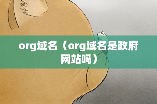 org域名（org域名是政府网站吗）