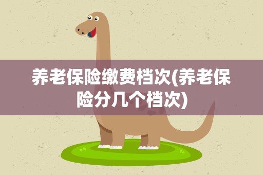 养老保险缴费档次(养老保险分几个档次)