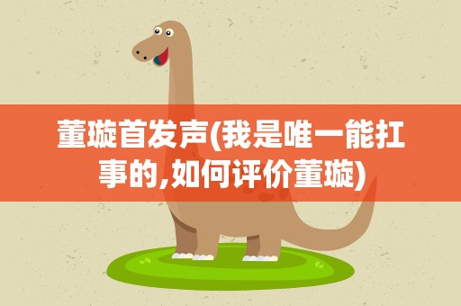 董璇首发声(我是唯一能扛事的,如何评价董璇)