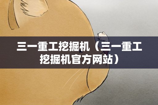 三一重工挖掘机（三一重工挖掘机官方网站）