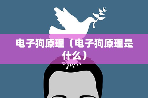 电子狗原理（电子狗原理是什么）