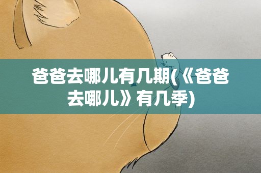 爸爸去哪儿有几期(《爸爸去哪儿》有几季)