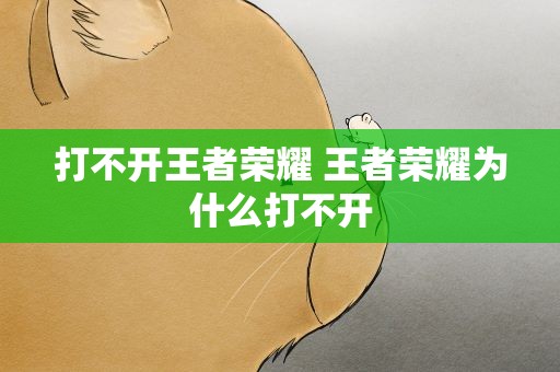 打不开王者荣耀 王者荣耀为什么打不开